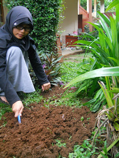 biopori