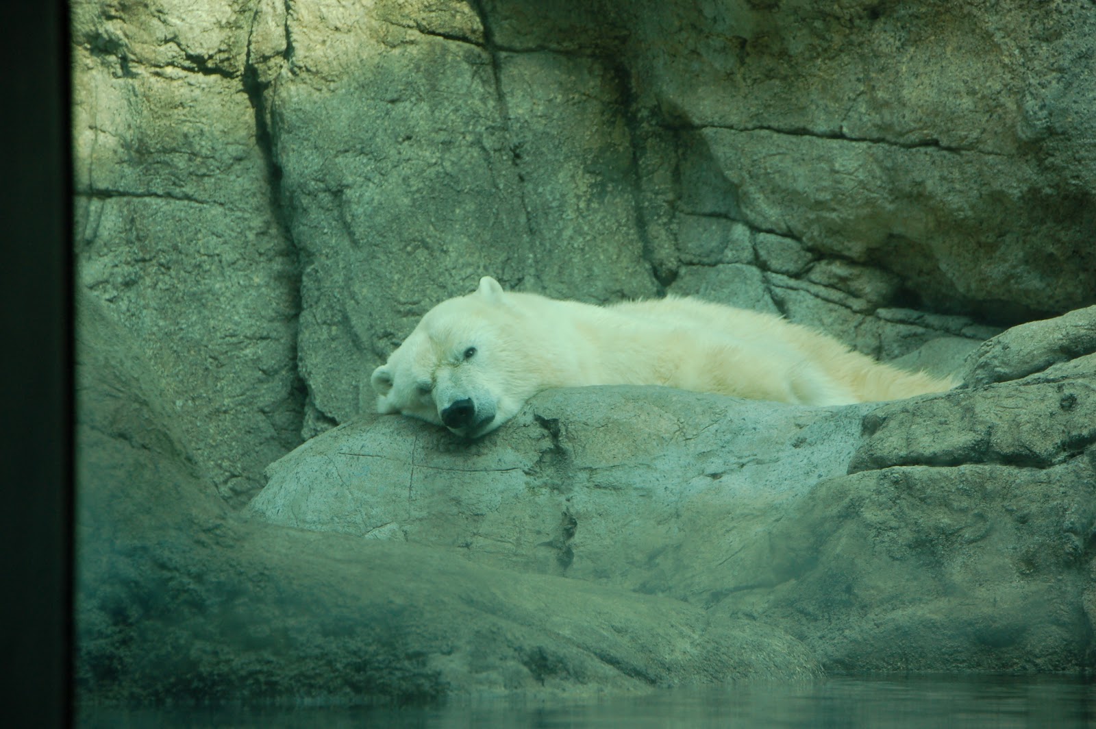 StewMama Says Stew to the Zoo