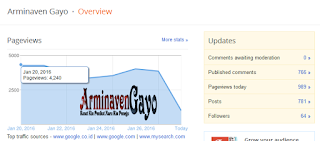 Arminaven Gayo Overview Per Day