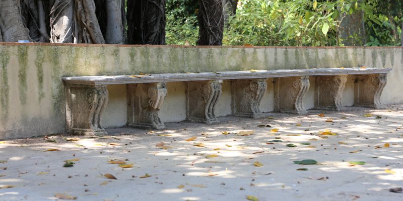 Orto Botanico, Palermo Orto Botanico, Palermo