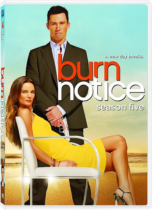Burn Notice Infographic Before Season Premiere sandwichjohnfilms