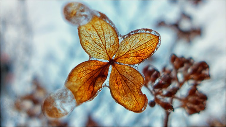 Compact Camera, Best Photo of the Day in Emphoka by Tim Folkins, Leica D-LUX 6, https://flic.kr/p/jphX87 Compact Camera, Best Photo of the Day in Emphoka by Tim Folkins, Leica D-LUX 6, https://flic.kr/p/jphX87