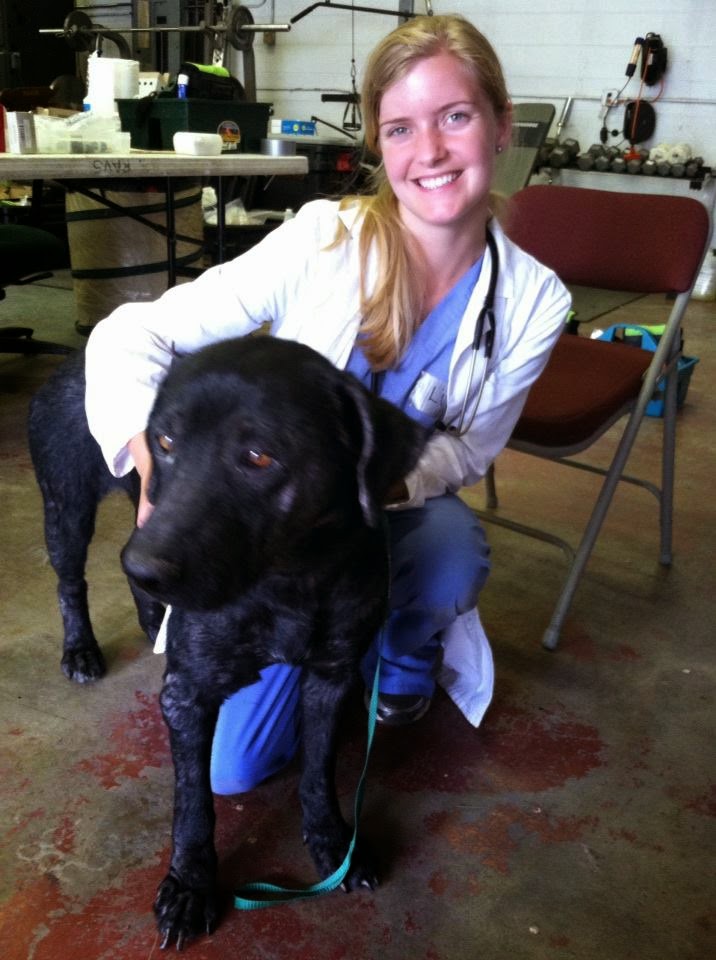 Veterinary Legacy A Veterinary Student Interviews Practicing