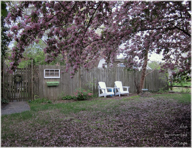 An Enchanted Cottage: A stroll around the yard...