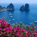 Capri The Island of Art