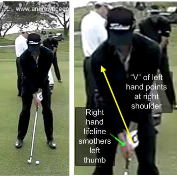 golf swing iron