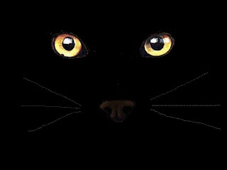 Animals' Eyes, Cat's Eyes, Glow In The Dark, Natural