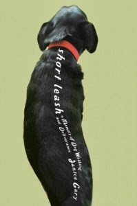 Secure Dog Walking Fields Manchester Secure Dog Walking Fields Manchester
