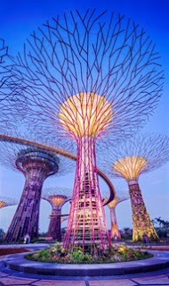 best Singapore holiday packages.