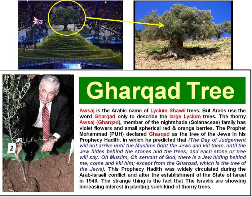 Pokok yahudi gharqad