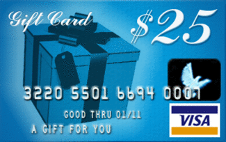 $25 Visa gift card