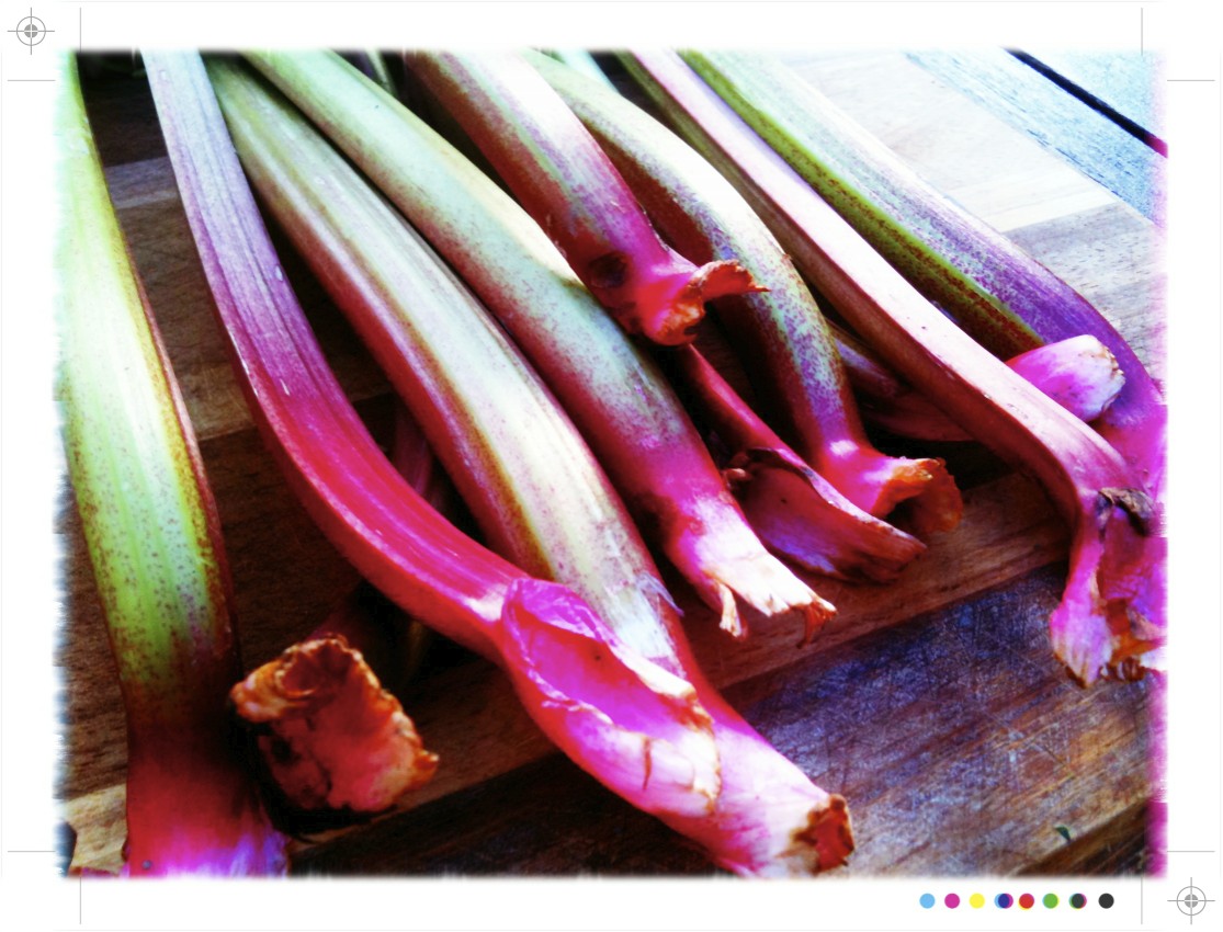 Toast Sunday afternoon & Rhubarb and Ginger Ice Cream