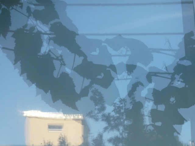 Britta S Happiness Of The Day Herbstgefuhle Autumn Feelings By