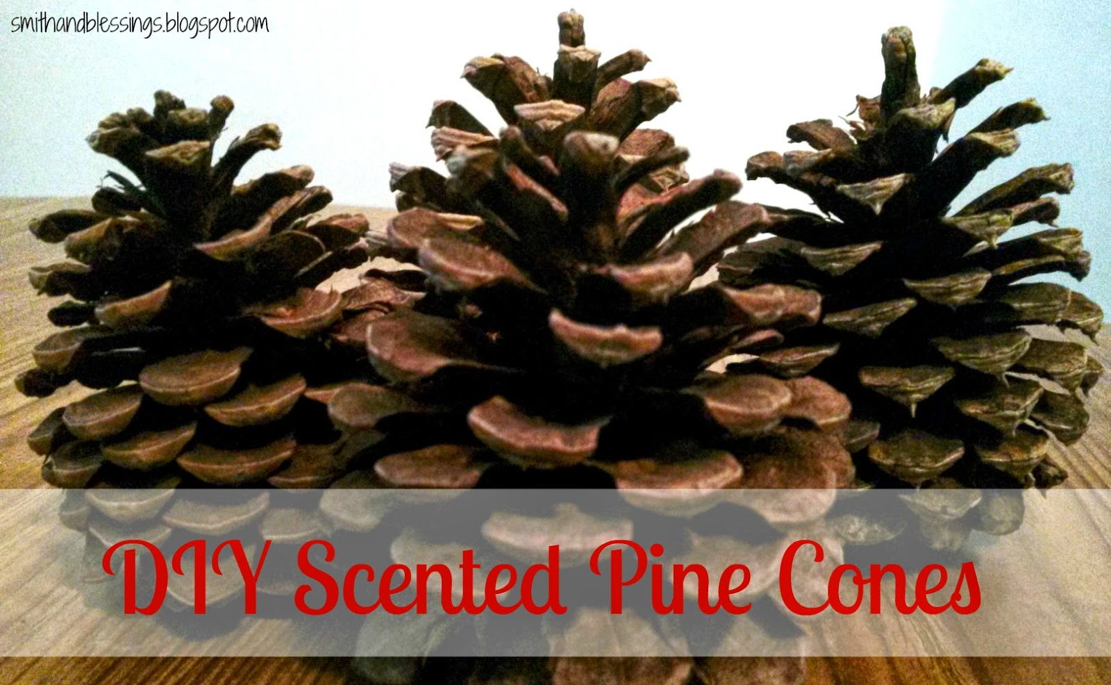 Smith and Blessings Fun Friday DIY Scented Pine Cones