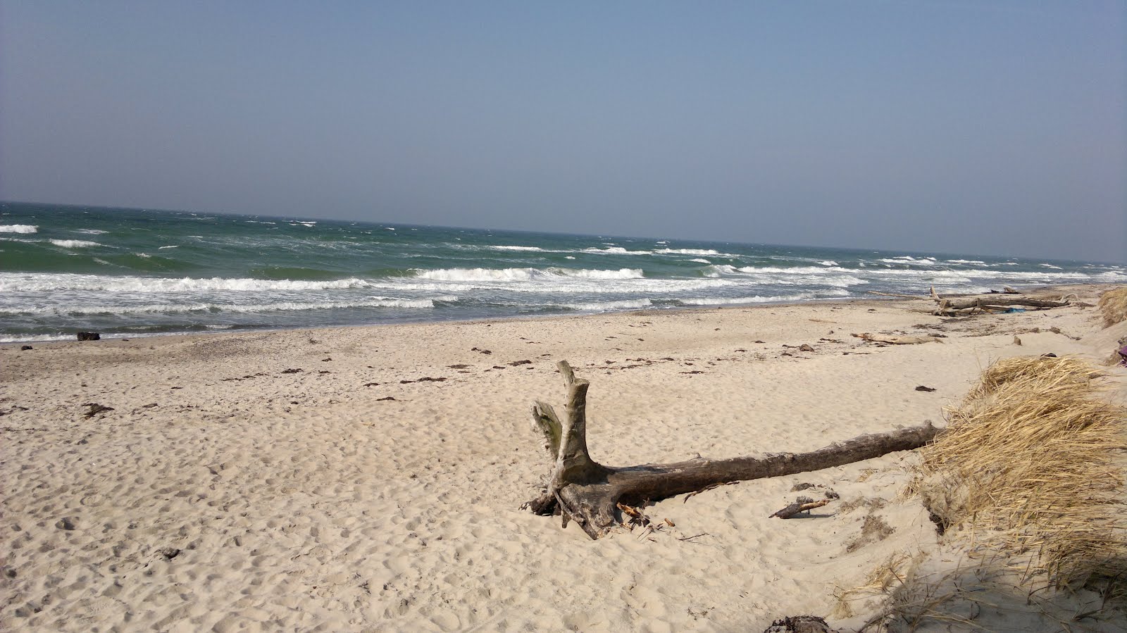 Hotel Pension Haus Seeadler Prerow Hotel Pension Haus Seeadler Prerow