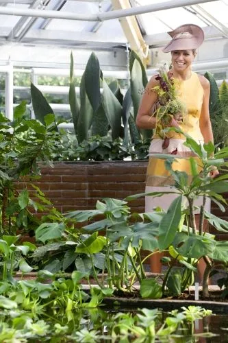 Queen Maxima opens Hortus Botanicus renovated Greenhouse