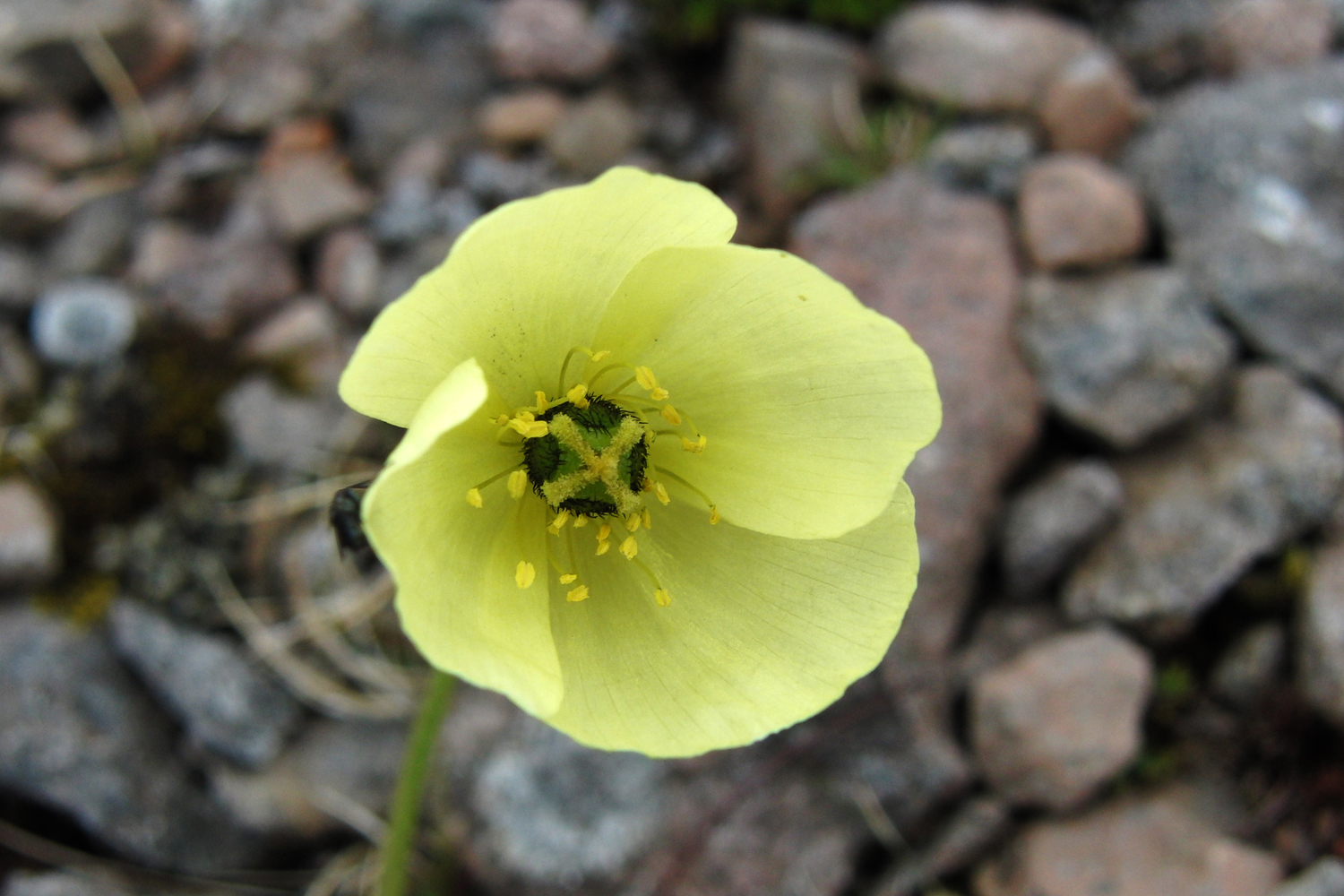 catching light Juli 2012