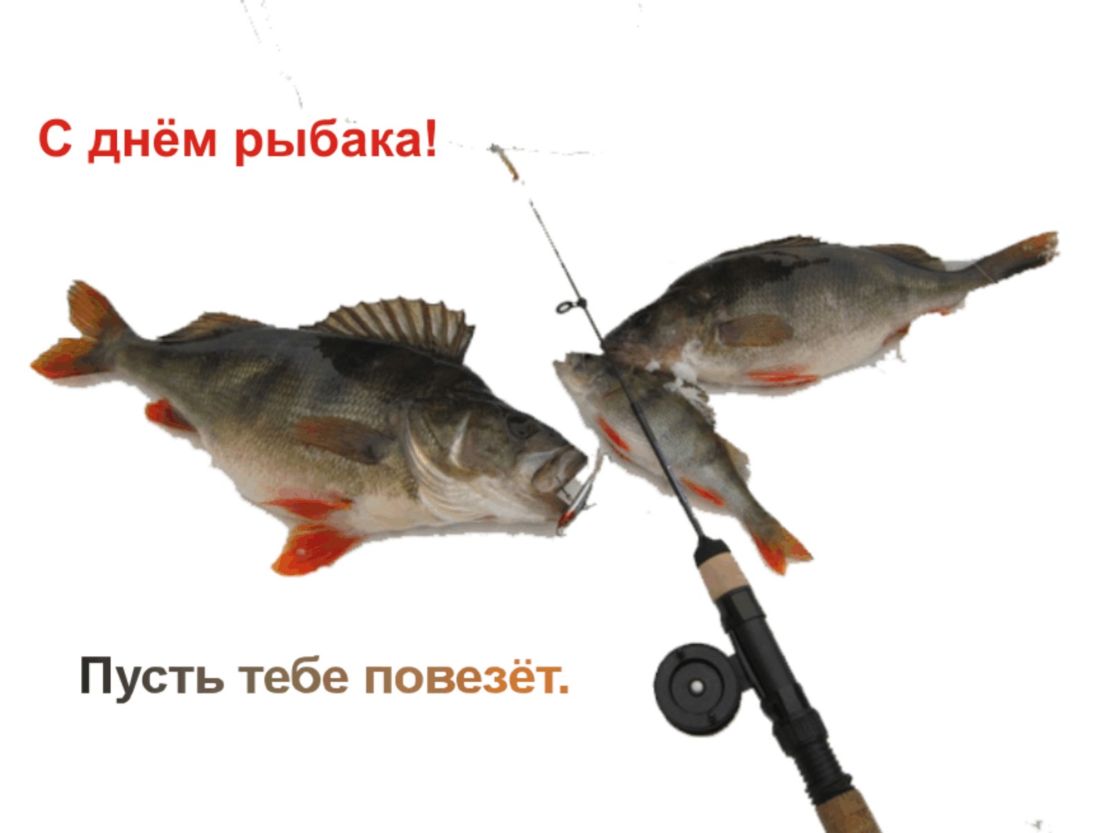 Открытки с днем рыбака 79 Открытки с днем рыбака 41