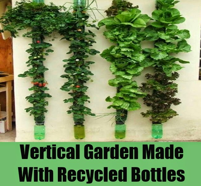 Tận dụng chai nhựa bỏ đi - 22