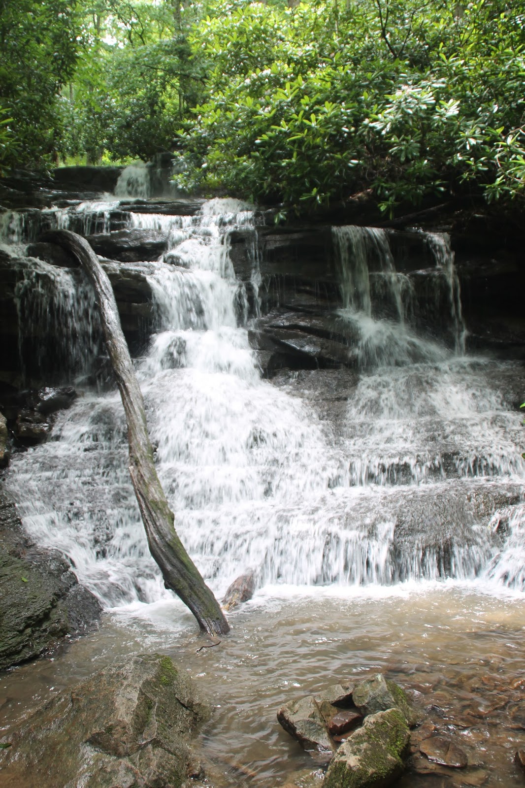 Waterfalls of Pennsylvania Sugar Run Fall and Mitchell Falls Ohiopyle