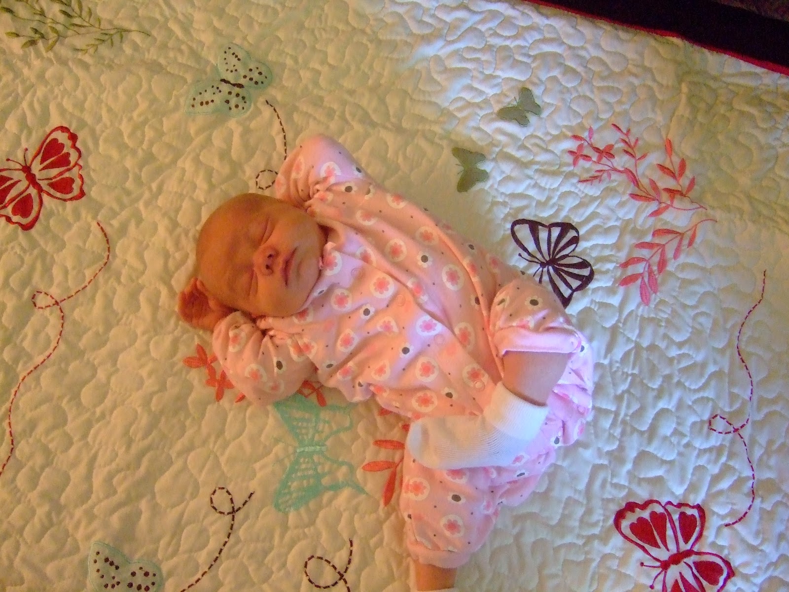 Foreign Quang Our Nojo Baby Bedding Arrived