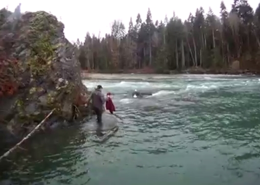 Wounded Eagle Rescued by the Rambling Fishermen! (Video)