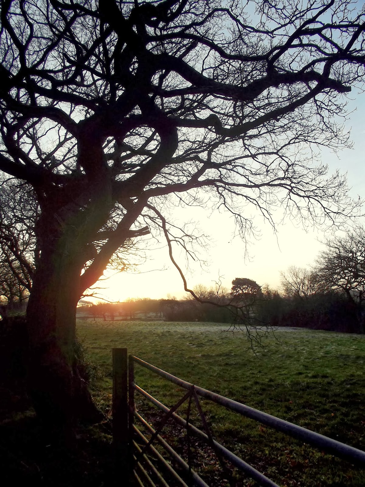 Curlew Country Frosty Hollow