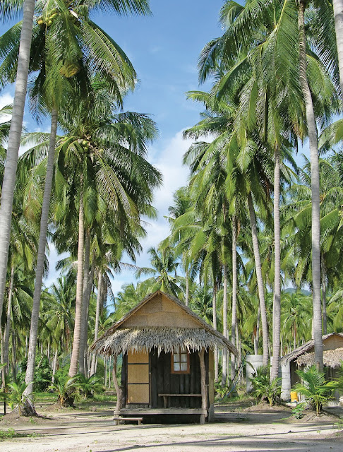 Is it still possible to stay here cheaply, or are Samui’s backpackers a dying breed? Nothing ever stays the same. Everything changes. People come and people move on. Even the landscape gets chopped and nibbled at. And, when it comes to new developments, why, then, the more folks that come to Samui, the more things the Samui-folk build for them! People who return for another holiday just one year later are amazed at how much has changed. So you can imagine what a ten-year gap must be like Is it still possible to stay here cheaply, or are Samui’s backpackers a dying breed? Nothing ever stays the same. Everything changes. People come and people move on. Even the landscape gets chopped and nibbled at. And, when it comes to new developments, why, then, the more folks that come to Samui, the more things the Samui-folk build for them! People who return for another holiday just one year later are amazed at how much has changed. So you can imagine what a ten-year gap must be like