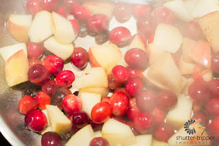 Apple cranberry and raisin compote