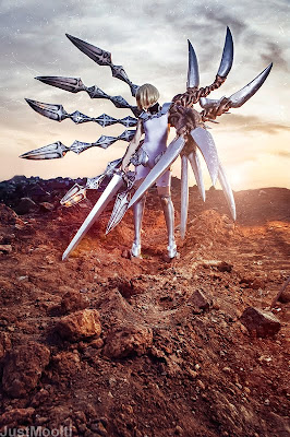 Claymore Costume