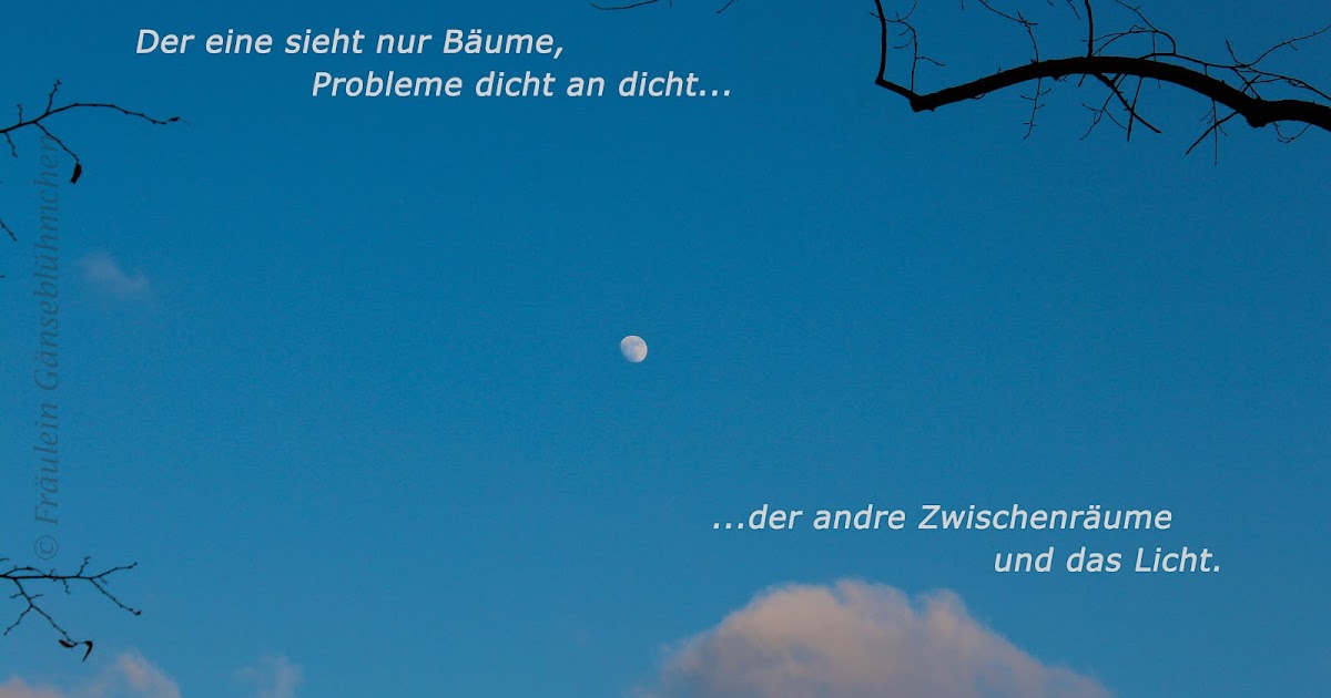 Fräulein Gänseblümchen: Advents-Special # 9