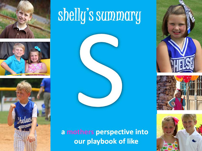 shelly's summary