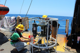 Collecting water from the rosette CTD