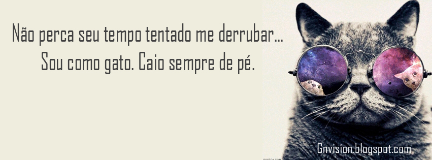 seu tempo tentando me derrubar. Sou como um gato. Caio sempre de pé