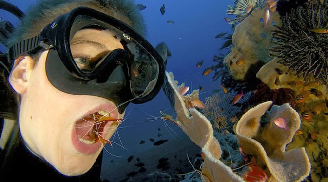 Perawatan Gigi Gratis di Dasar Laut Bali