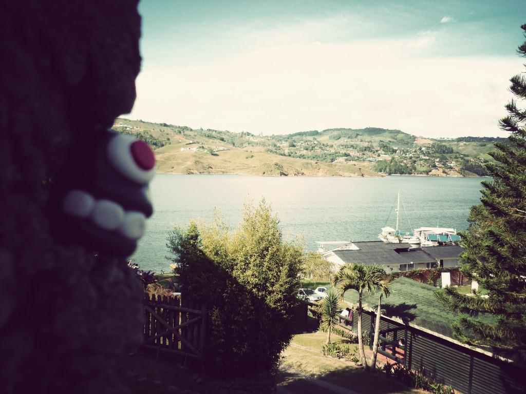 Moonsters Hotel Meson Ilama Lago Calima El Dari 233 N