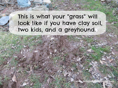 Greyhound Grass from Pink and Green Mama Blog