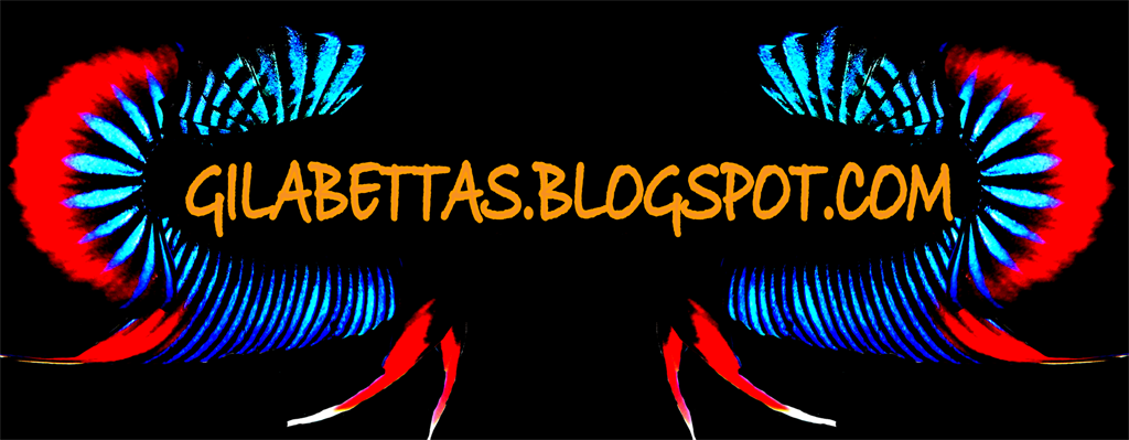 gilabettas.blogspot.com