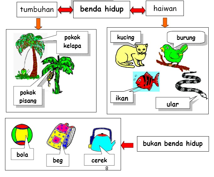 Hidup atau Bukan Hidup SAINS TAHUN 1