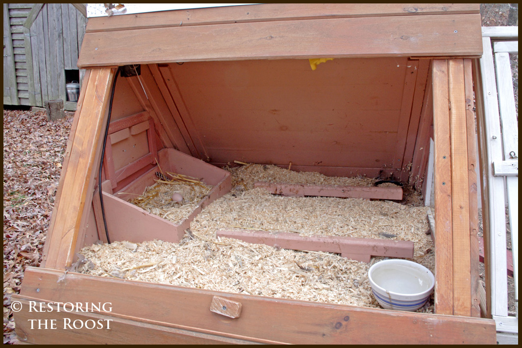 Restoring the Roost Winterizing the Chicken Coop