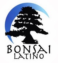 Bonsai Latino