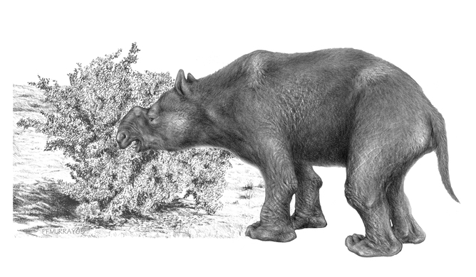 extinction of australian megafauna essay De-extinction and the community of being of melomys and megafauna in june 2016, australian see also p j seddon's essay, “de-extinction. extinction of australian megafauna essay De-extinction and the community of being of melomys and megafauna in june 2016, australian see also p j seddon's essay, “de-extinction.