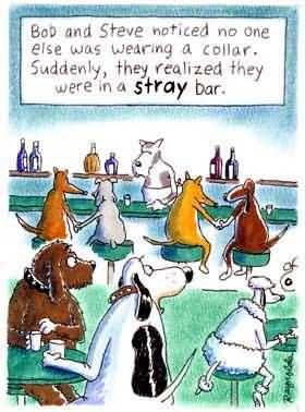 coast guard gay funny images dog lizzie connolly transgender from virginia