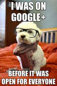 funny google plus comic strips cartoons facebook funny google plus comic strips cartoons facebook
