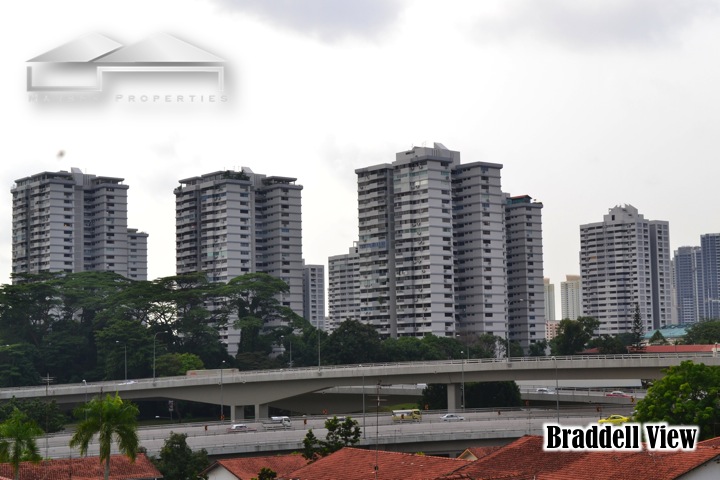 braddell view