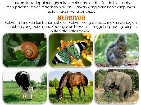 Tabiat pemakanan haiwan