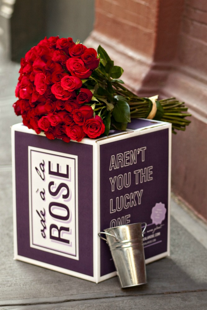 Introducing Ode à la Rose NYC, Style & a little Cannoli