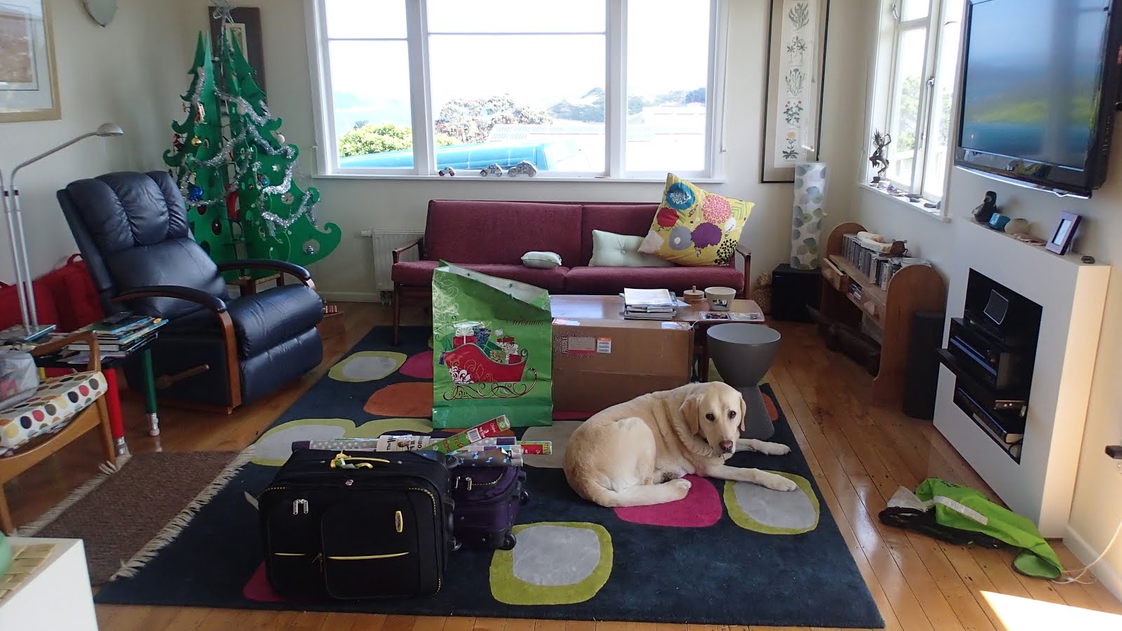 The South Island branch came up for Christmas, with retired guide dog Vincent
