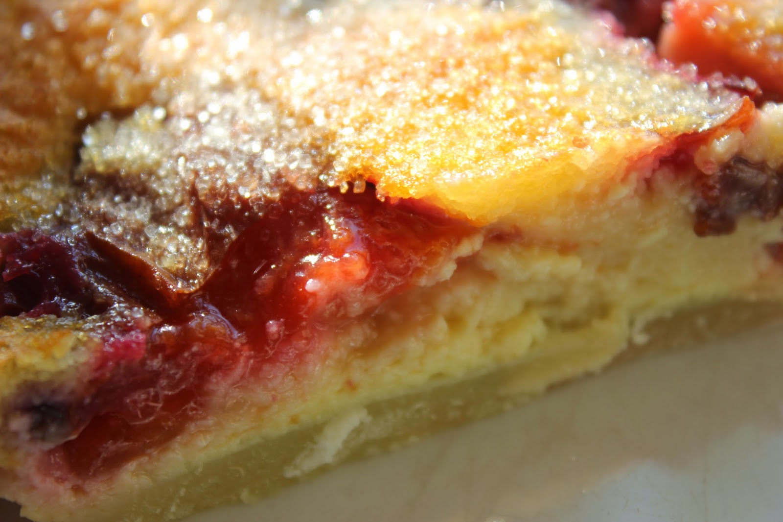 Clafoutis aux prunes Limousin batter pudding with plums. Glutenfree