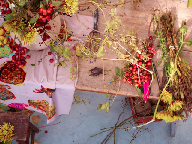 fleurs et baies photo Julia Hoersch via Nat et nature